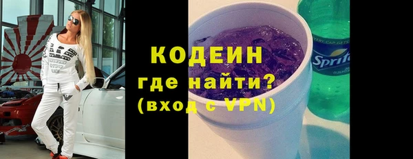 крисы Няндома