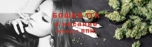 крисы Няндома