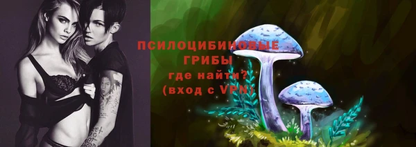 крисы Няндома