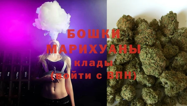 стаф Новодвинск