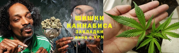крисы Няндома