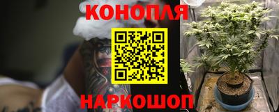 наркотики Гатчина