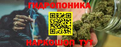 винт Гай