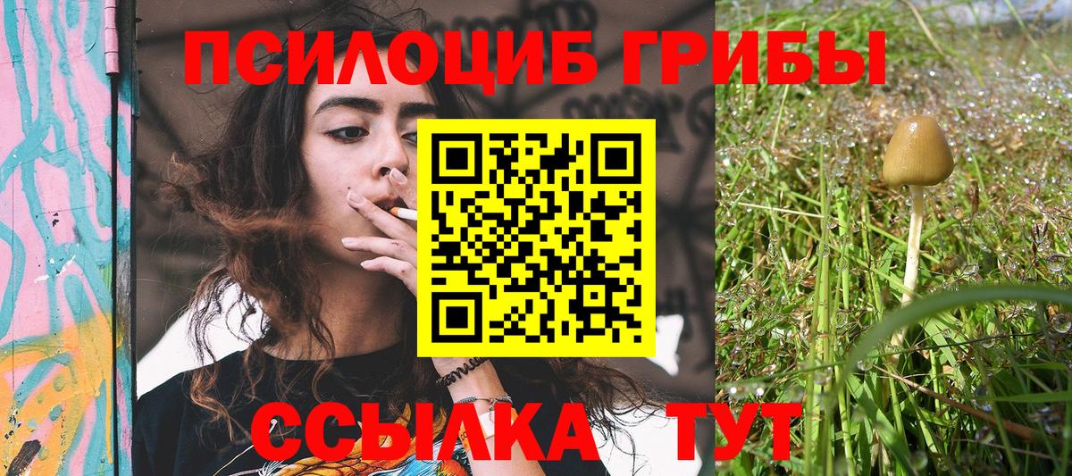 Галлюциногенные грибы мицелий  Вход с VPN  Лосино-Петровский 
