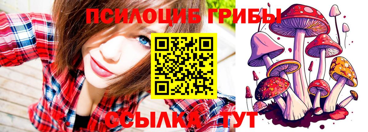 Псилоцибиновые грибы Cubensis Лосино-Петровский